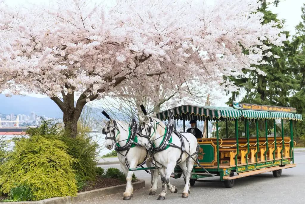 AAA Horse & Carriage, Vancouver, BC
