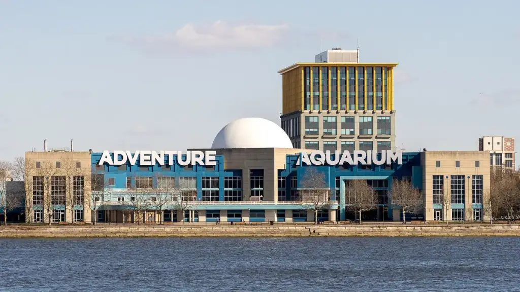 Adventure Aquarium, Camden, NJ