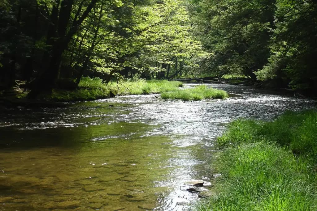 Allegheny National Forest, Warren, PA