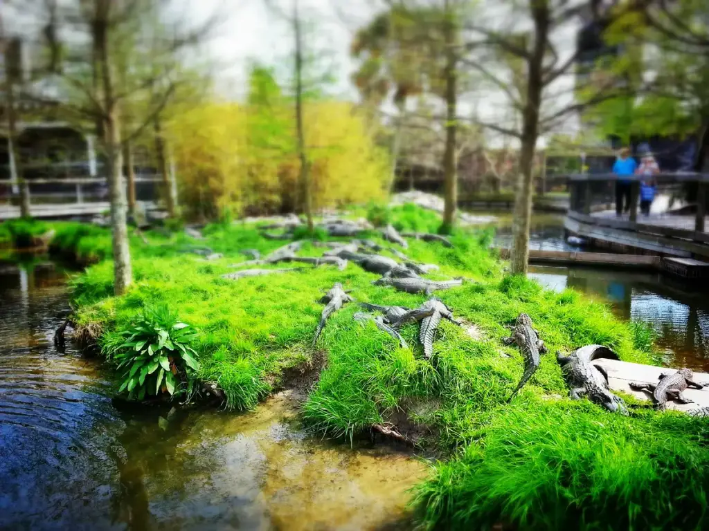 Alligator Adventure, North Myrtle Beach, SC