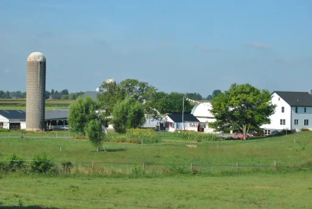 Amish Country Tours, Bird in Hand, PA