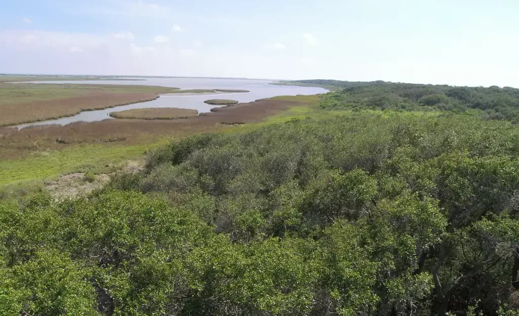 Aransas National Wildlife Refuge, Austwell, TX