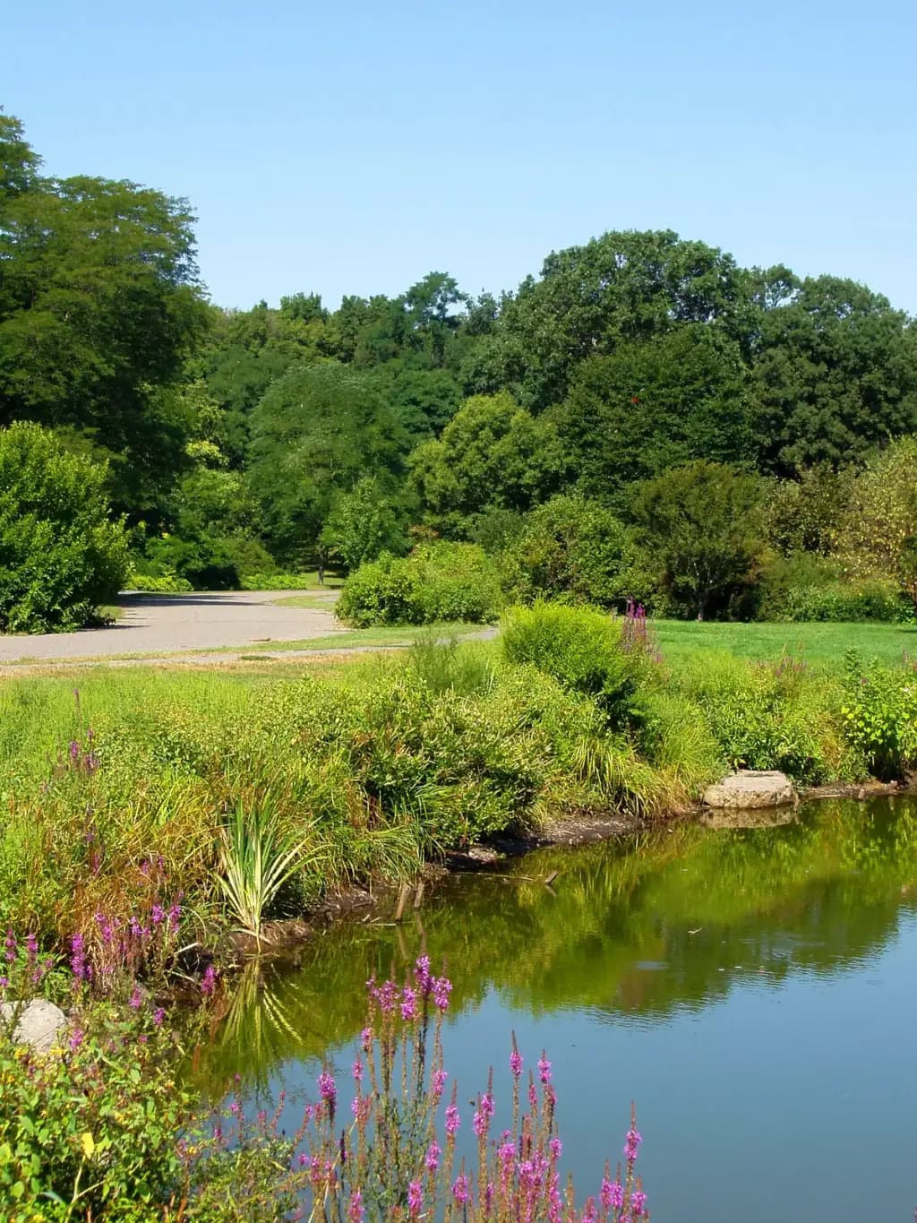 Arnold Arboretum, Boston, MA