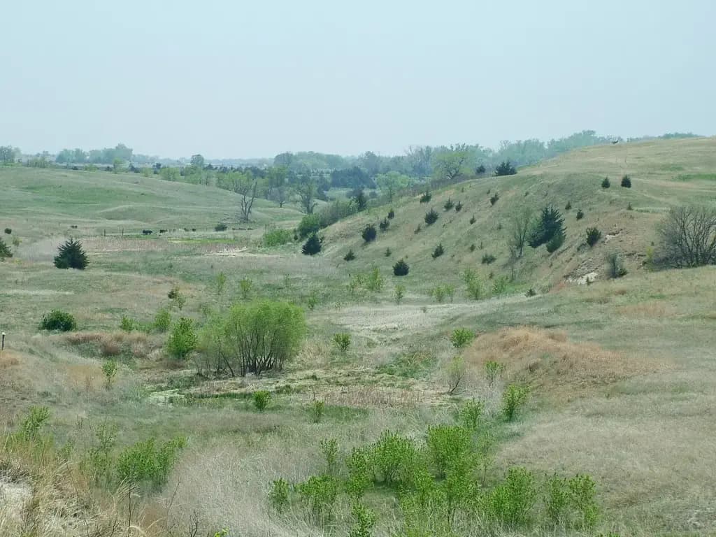 Ashfall Fossil Beds State Historical Park, Royal, NE