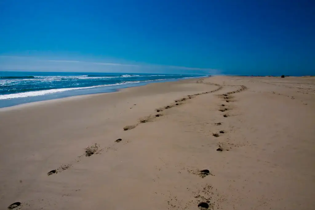 Assateague Island National Seashore, Berlin, MD