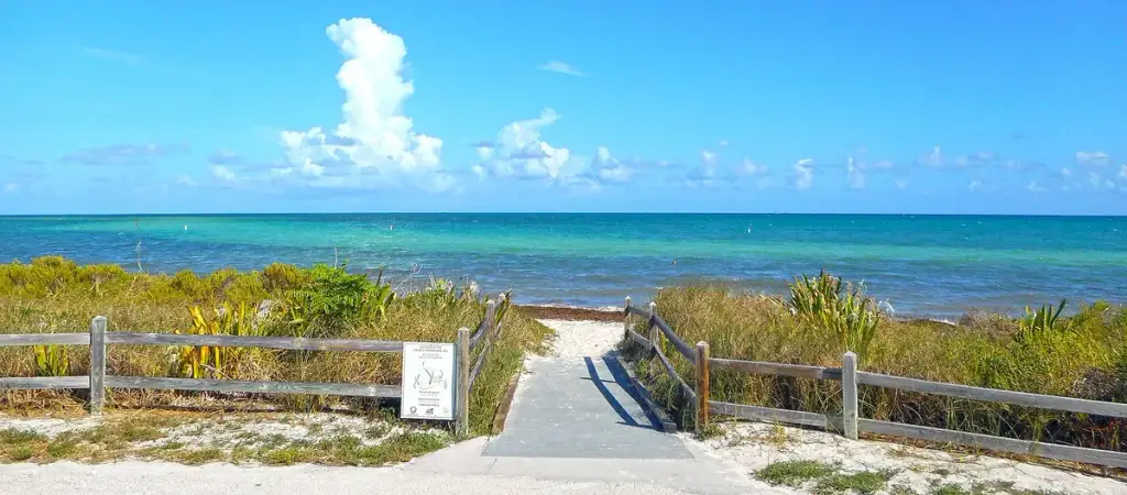 More of Florida
