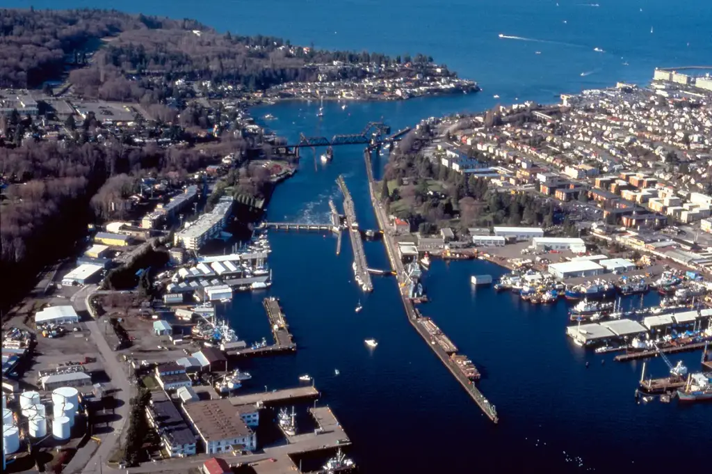 Ballard Locks, Seattle, WA