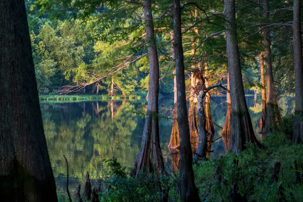Beavers Bend State Park, Broken Bow, OK