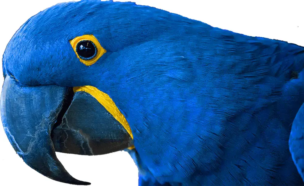 Bird Kingdom, Niagara Falls, ON