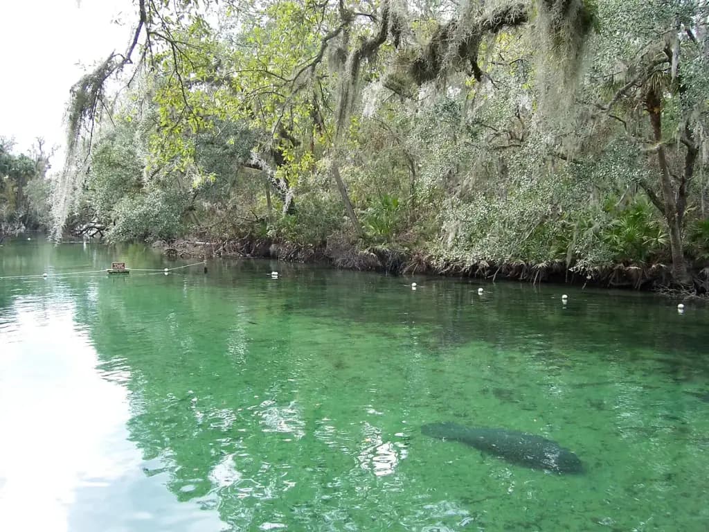Blue Spring State Park, Orange City, FL