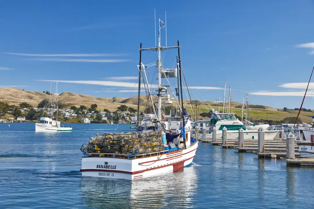 Bodega Bay, Bodega Bay, CA