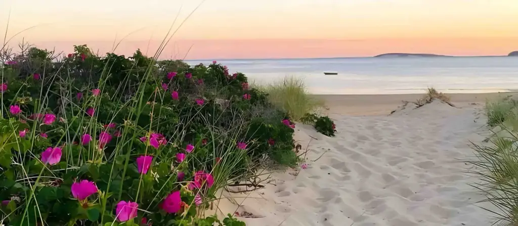 Bookstore & Restaurant, Wellfleet, MA
