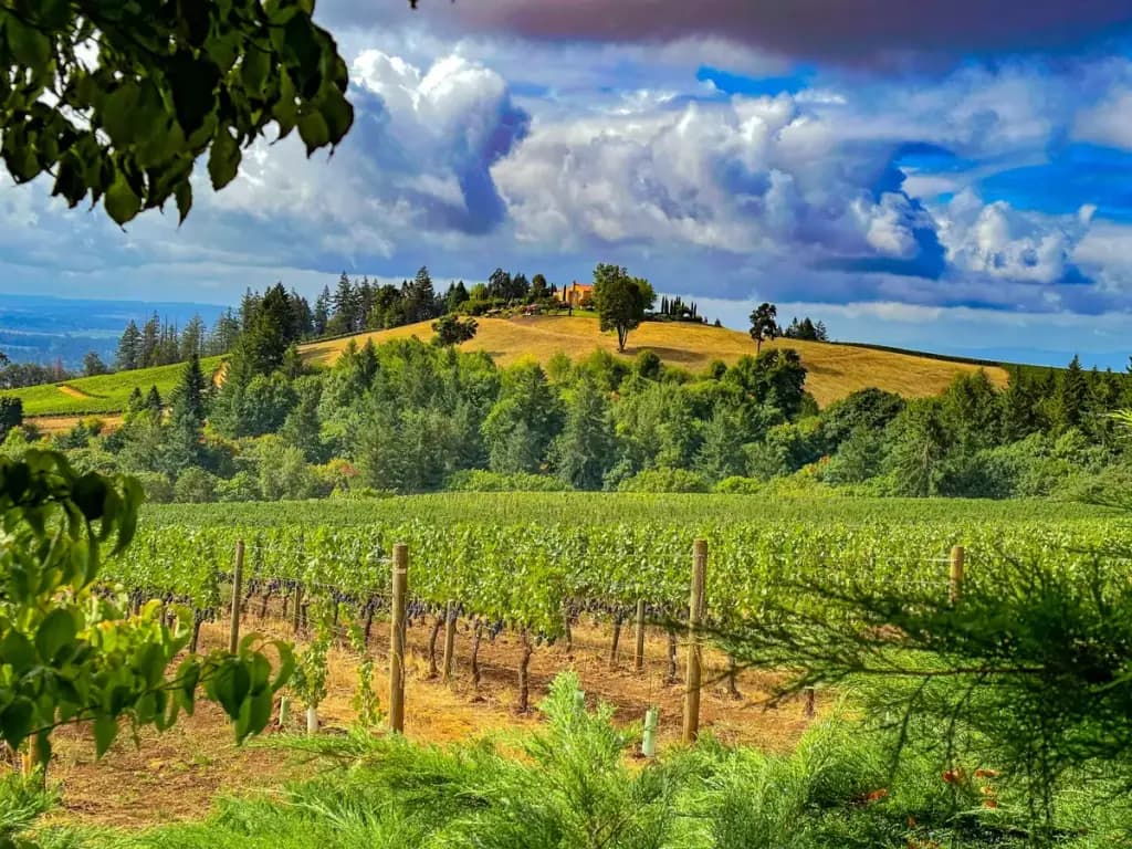 Bravo Outings, Medford, OR