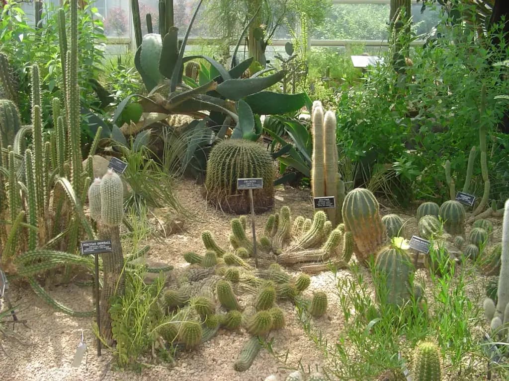 Brooklyn Botanic Garden, Brooklyn, NY