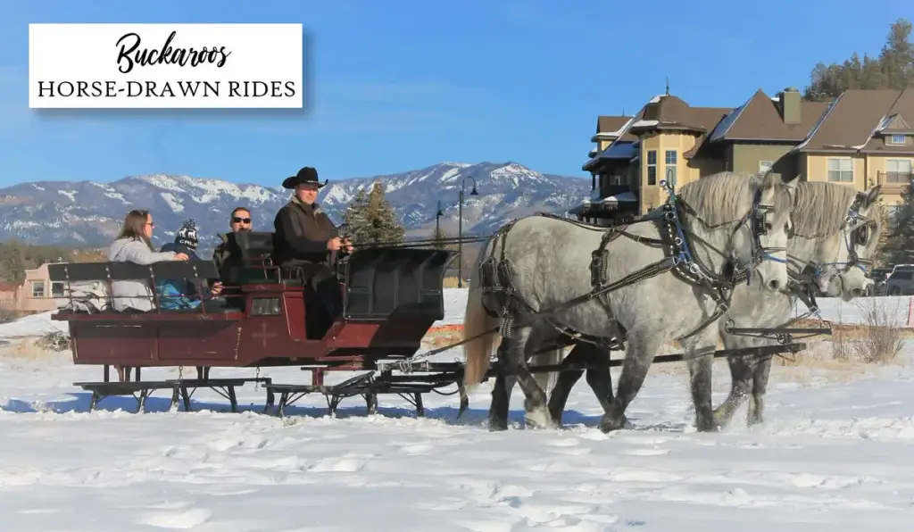 Buckaroos Horse-Drawn Rides, Pagosa Springs, CO