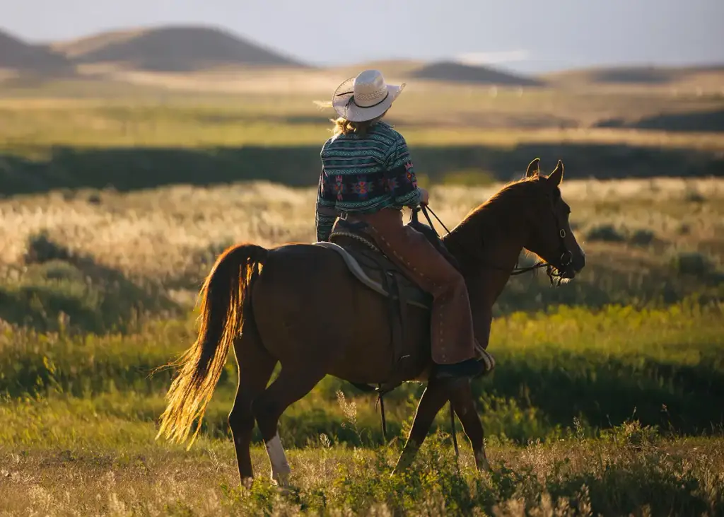 Buffalo & Kaycee, Wyoming, Buffalo, WY