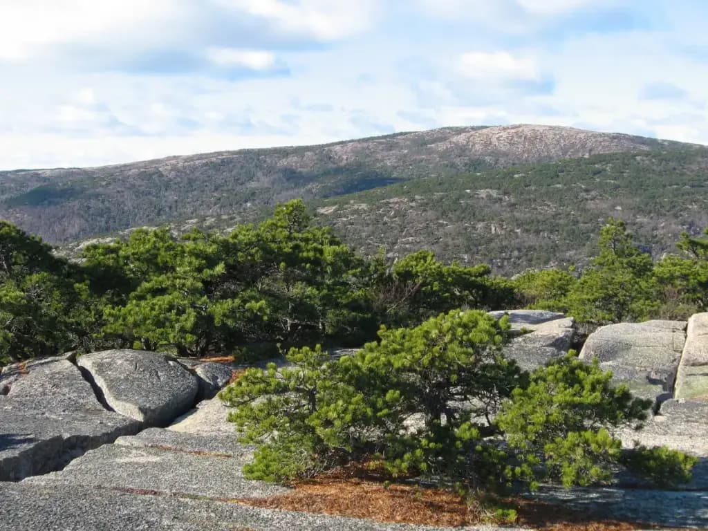Cadillac Mountain, Bar Harbor, ME