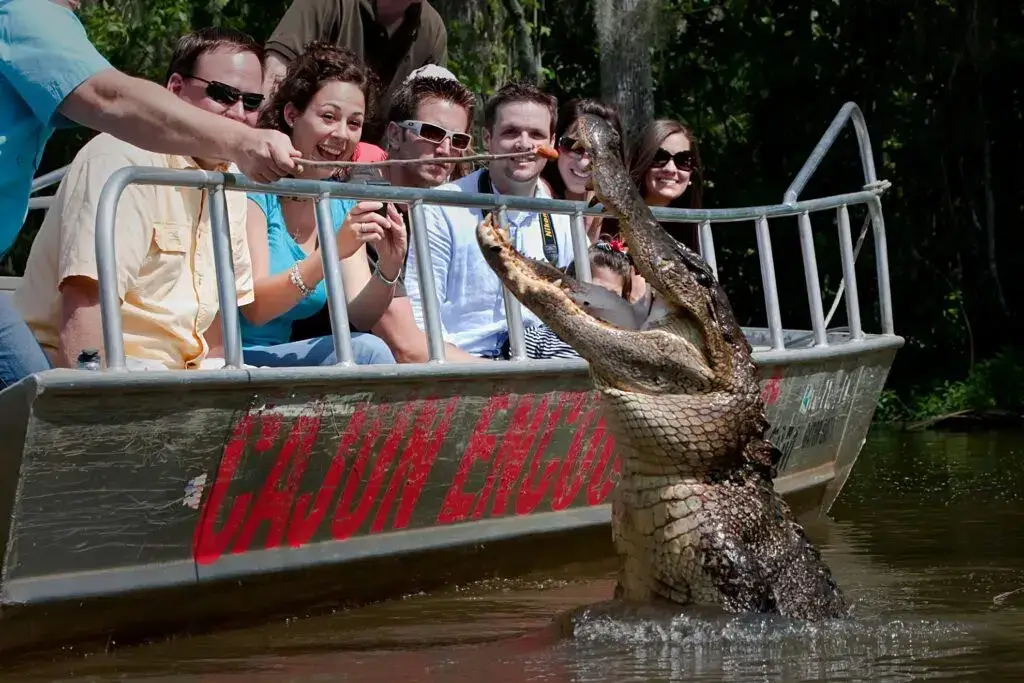 Cajun Encounters Swamp Tours, New Orleans, LA