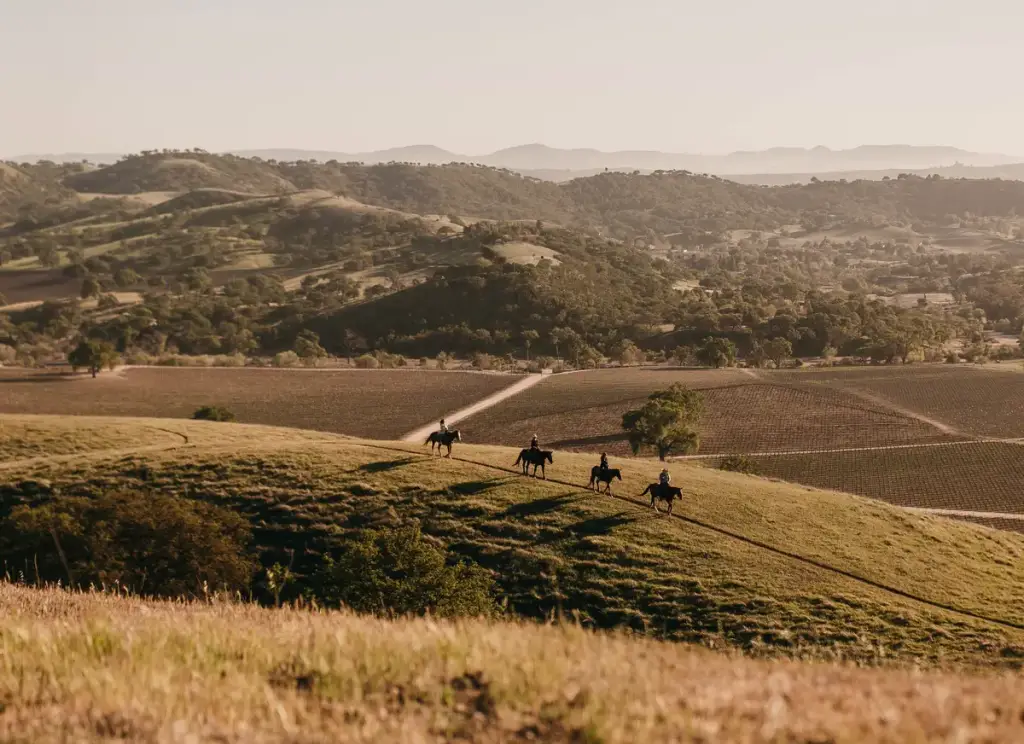 Central Coast
