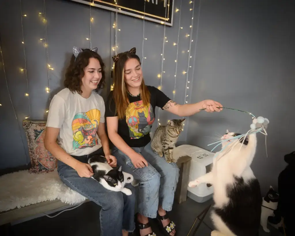 Cat Therapy, Santa Barbara, CA