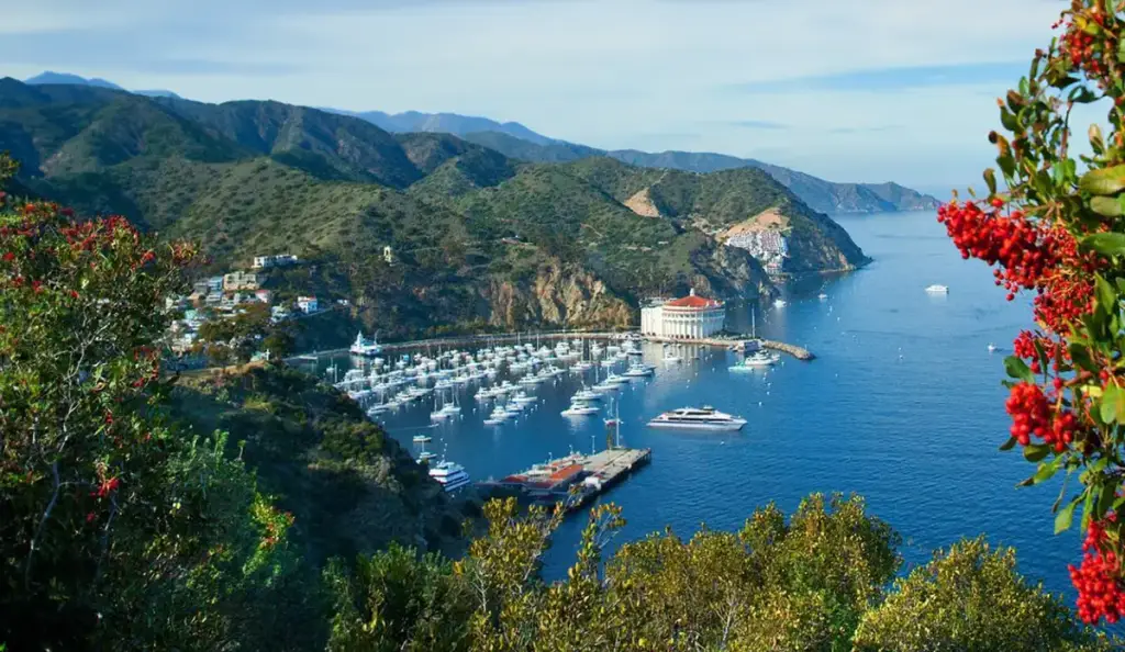 Catalina Express, San Pedro, CA