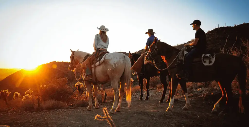 Cave Creek Trail Rides, Cave Creek, AZ