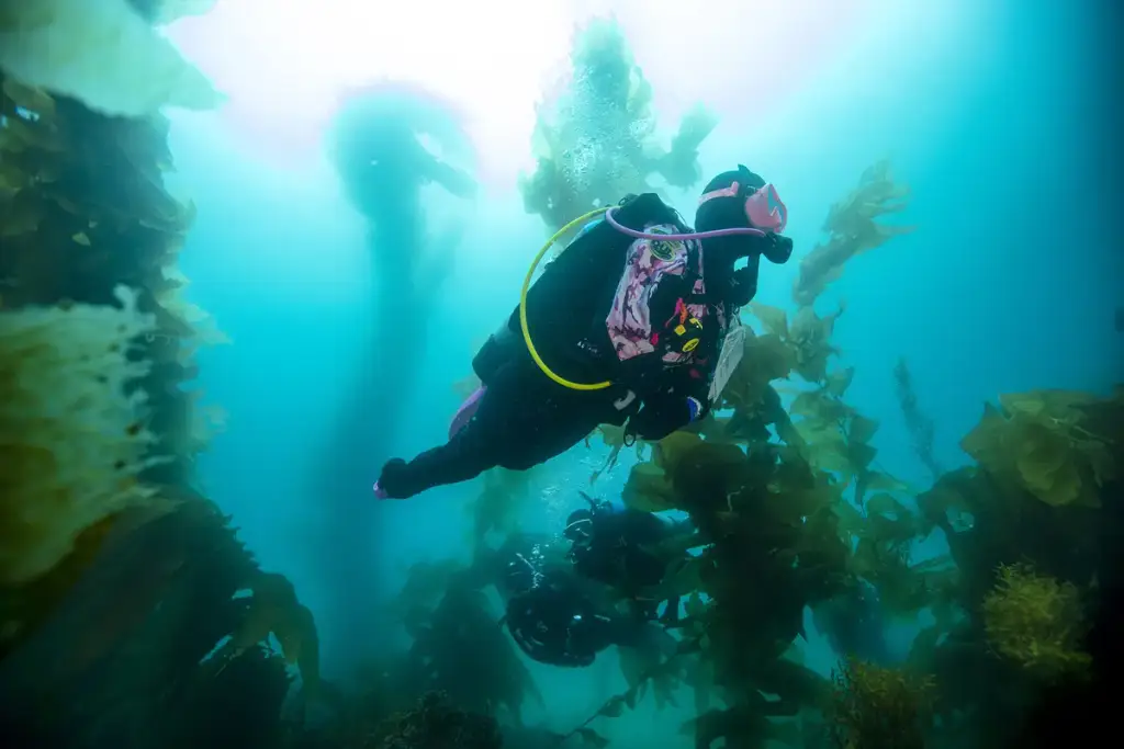 Central Coast Scuba, Monterey, CA