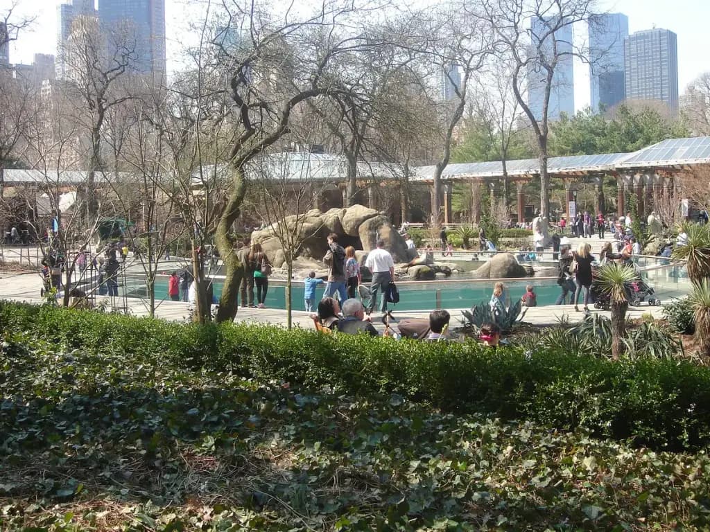 Central Park Zoo, New York, NY
