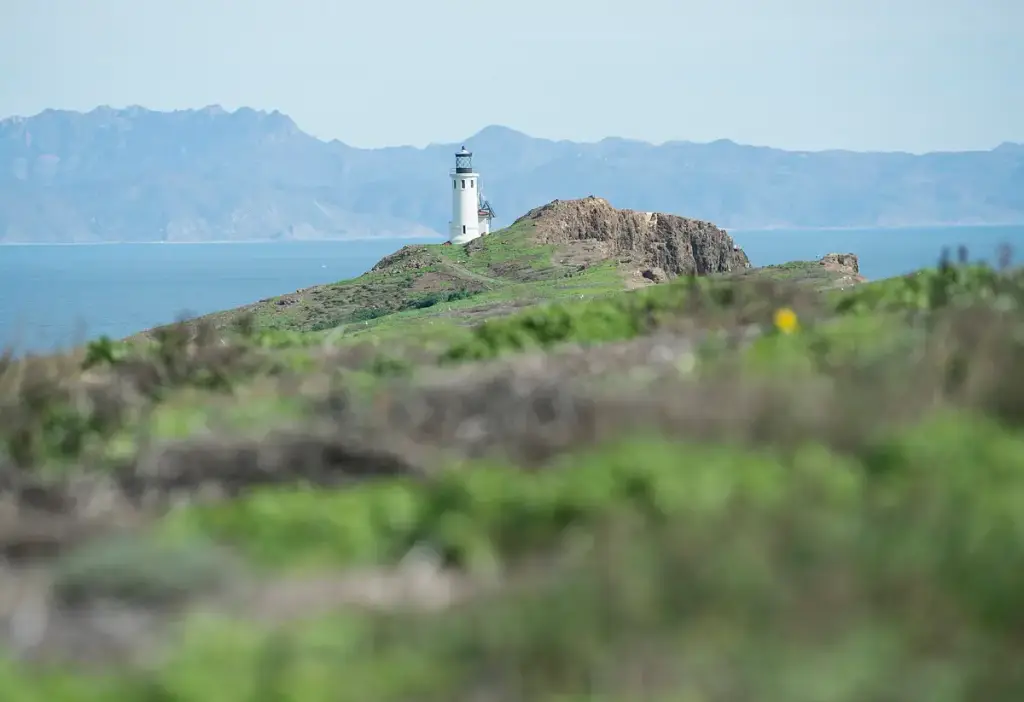Channel Islands National Park, Ventura, CA