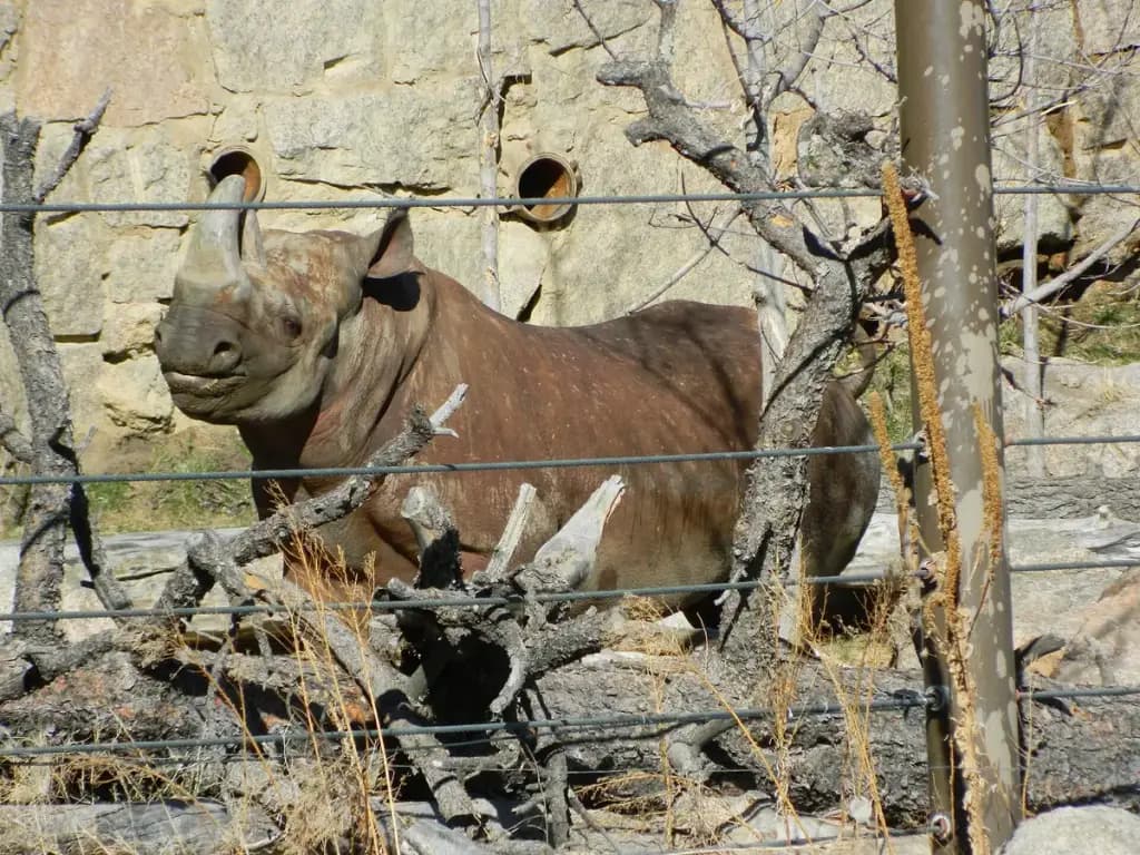 Cheyenne Mountain Zoo, Colorado Springs, CO