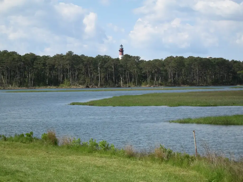 Chincoteague National Wildlife Refuge, Chincoteague, VA