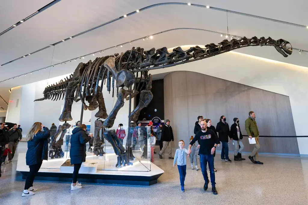 Cleveland Museum of Natural History, Cleveland, OH