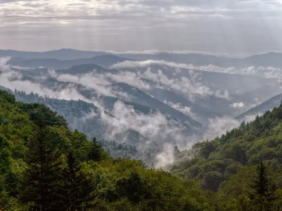 Clingmans Dome, Gatlinburg, TN