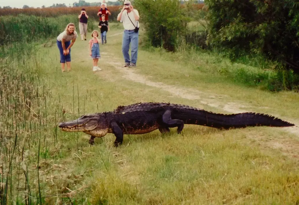 Creole Nature Trail, Sulphur, LA