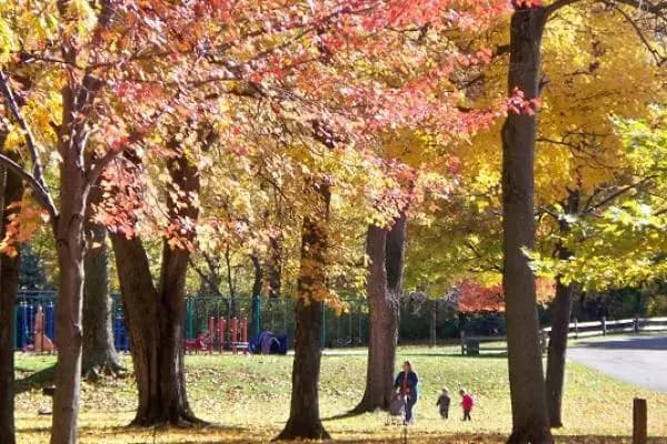 Cuyahoga Falls, Cuyahoga Falls, OH