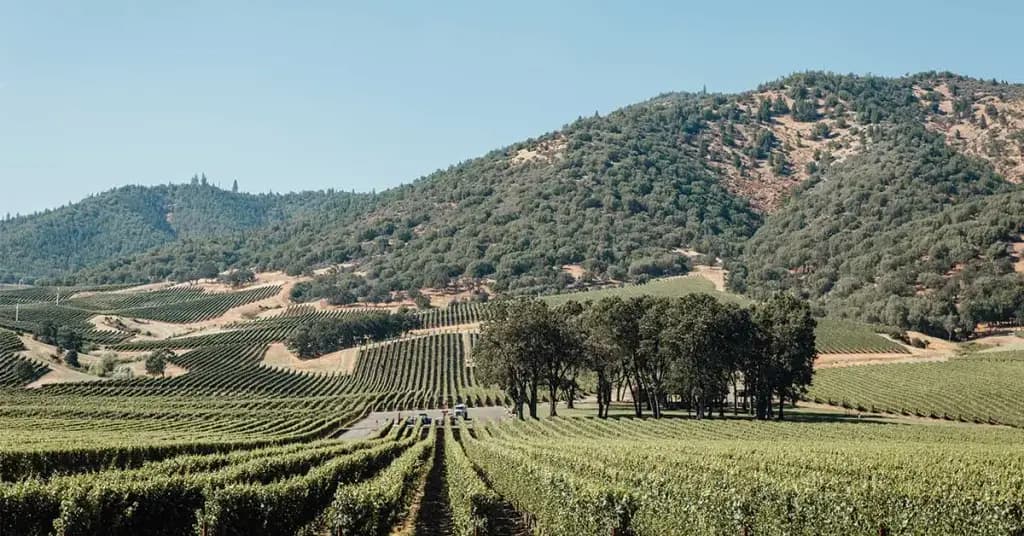 Del Rio Vineyards, Gold Hill, OR