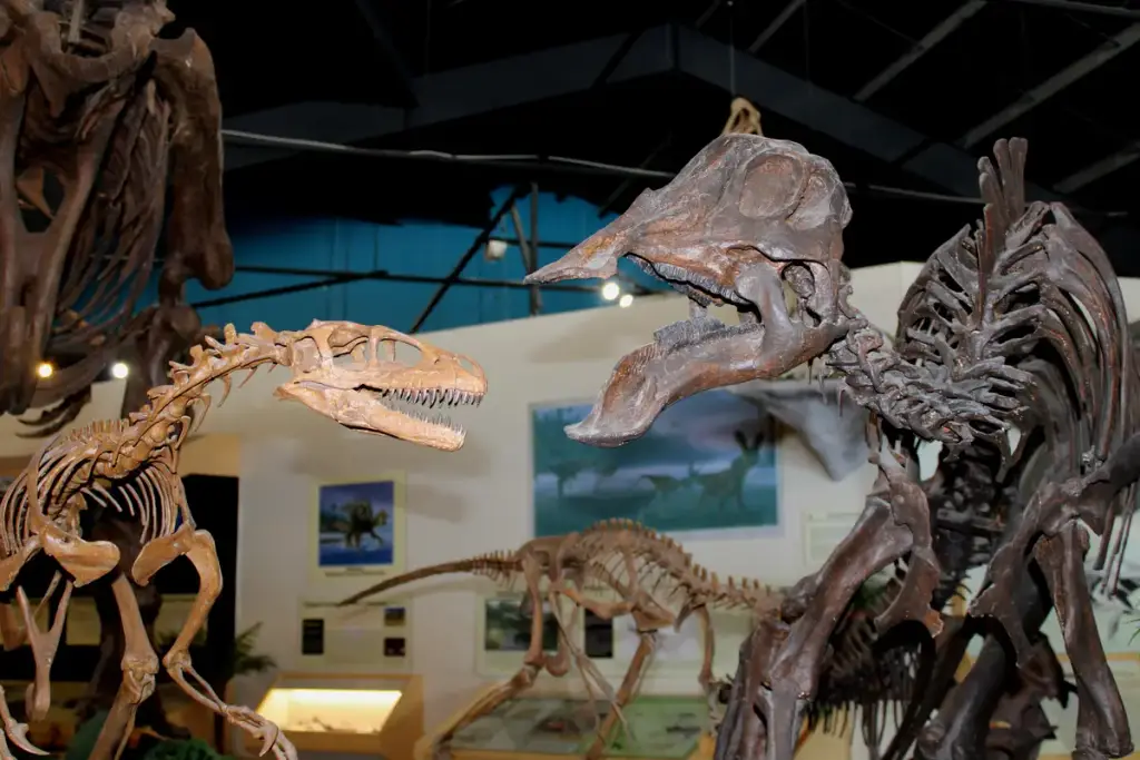 Dinosaur Resource Center, Woodland Park, CO