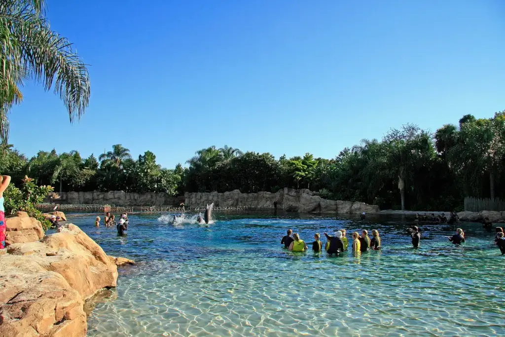 Discovery Cove, Orlando, FL
