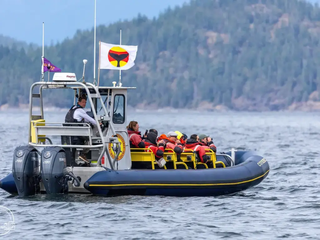 Eagle Eye Adventures, Campbell River, BC