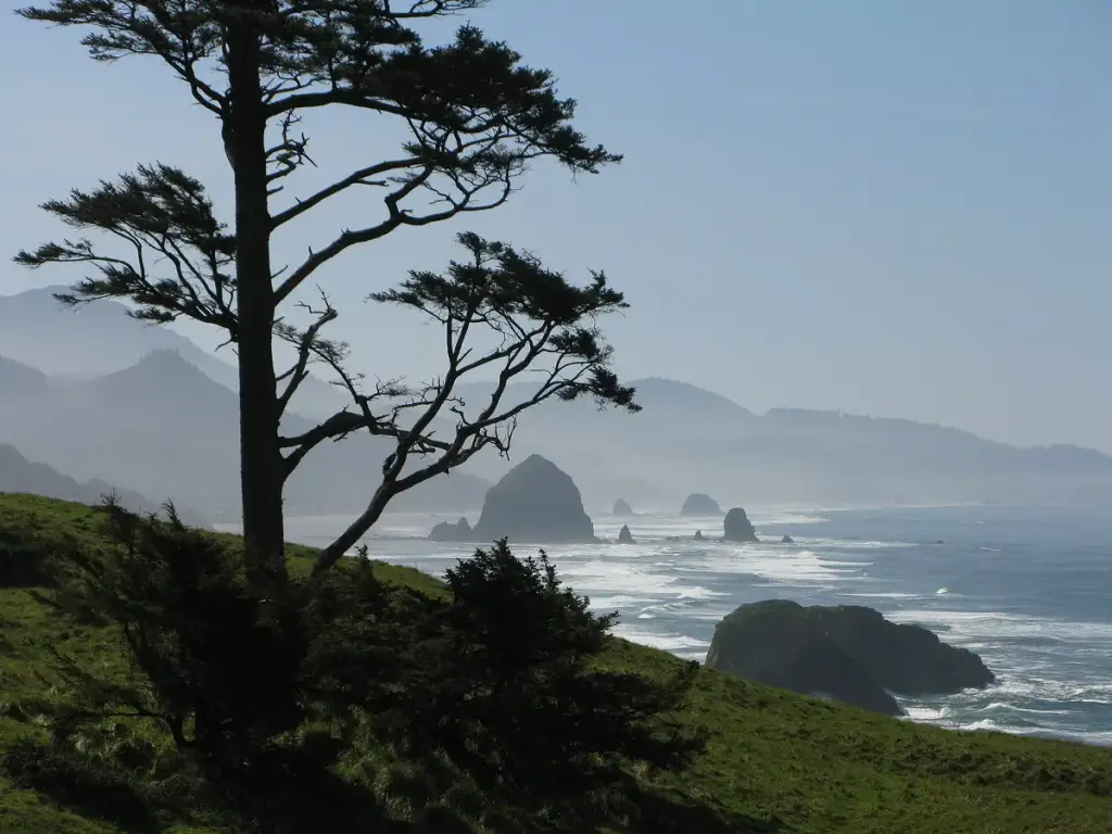 Ecola State Park, Cannon Beach, OR