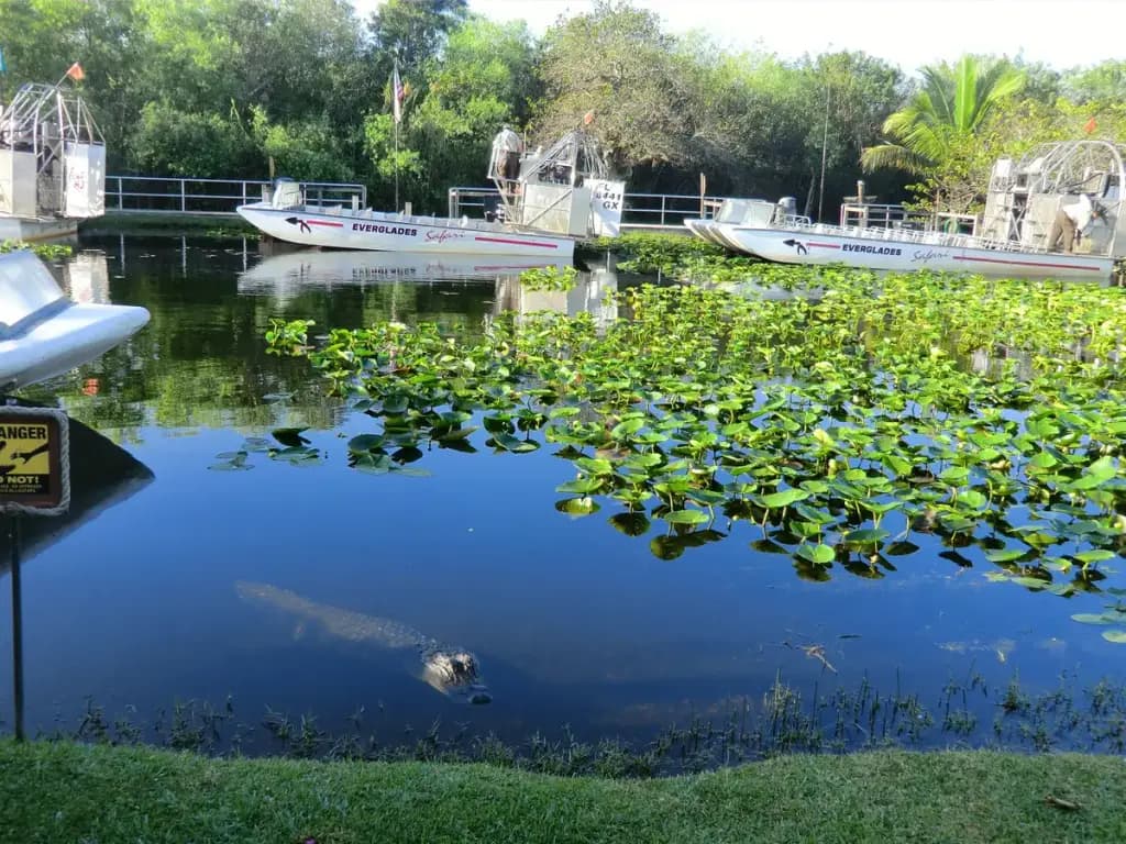 Everglades Safari Park, Miami, FL