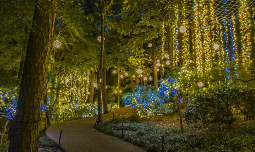 Garvan Woodland Gardens, Hot Springs, AR