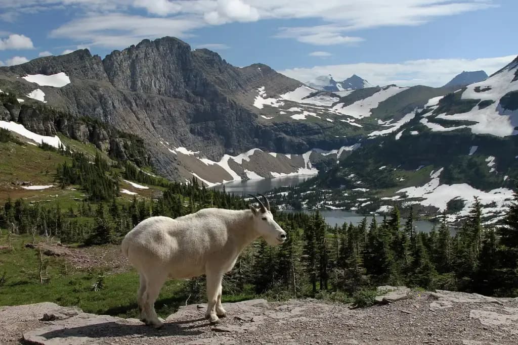 Glacier National Park, West Glacier, MT