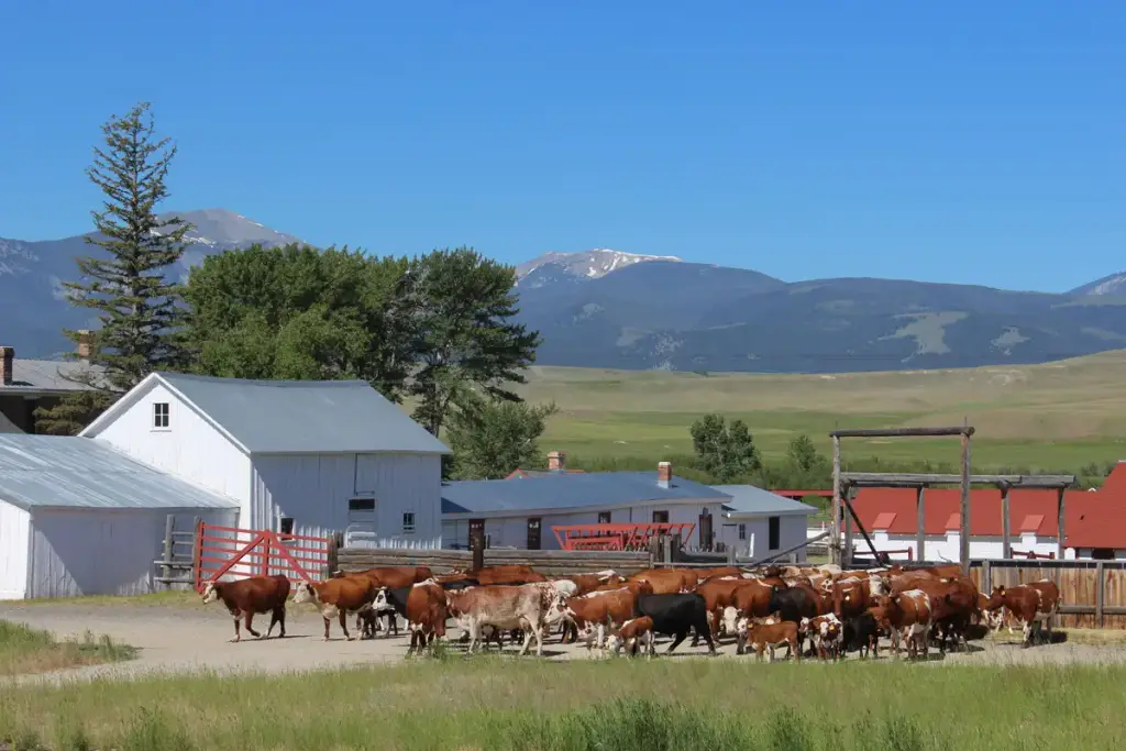Grant-Kohrs Ranch National Historic Site, Deer Lodge, MT