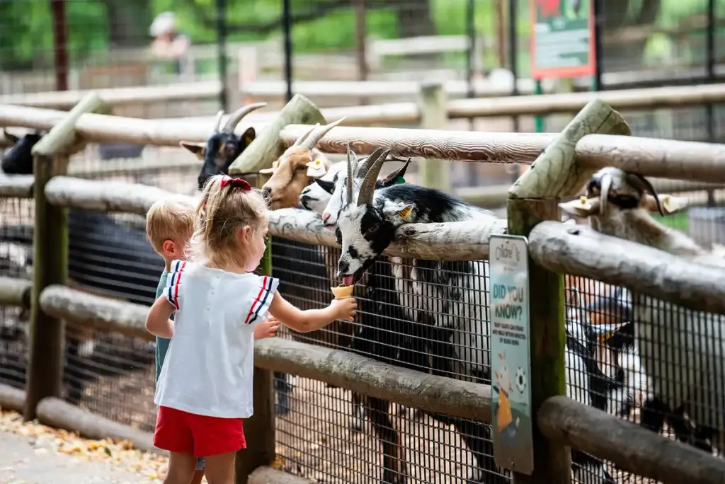Grant's Farm, St. Louis, MO