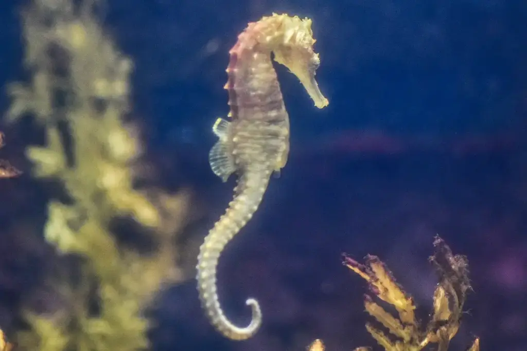 Greater Cleveland Aquarium, Cleveland, OH