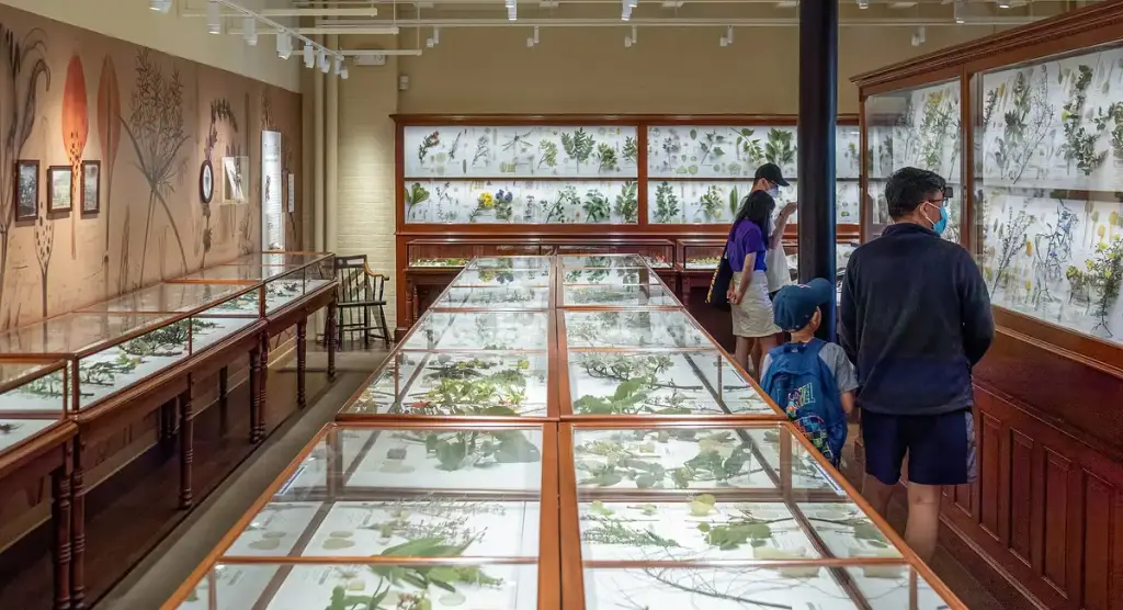 Harvard Museum of Natural History, Cambridge, MA