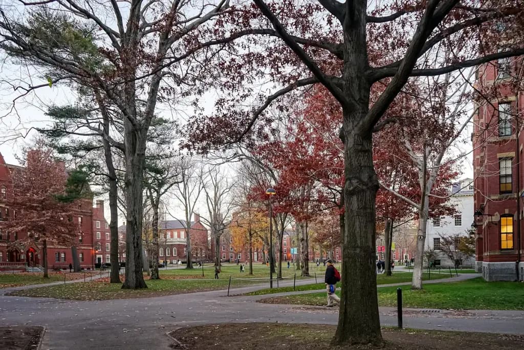 Harvard Yard, Cambridge, MA