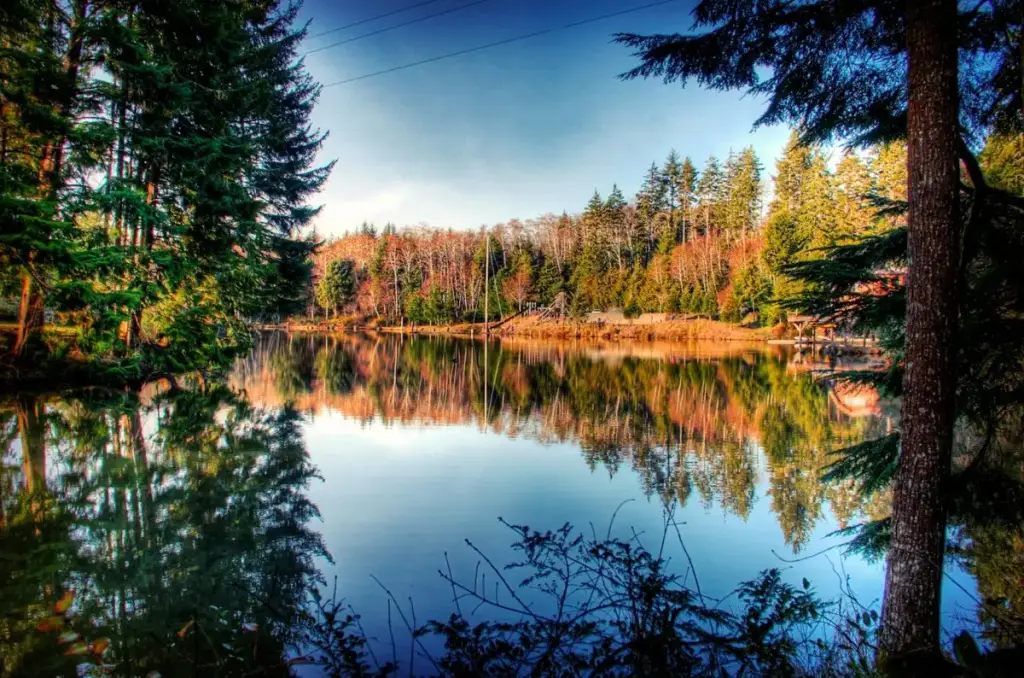 More of Oregon