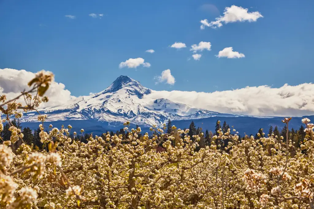 Hood River Fruit Loop, Hood River, OR